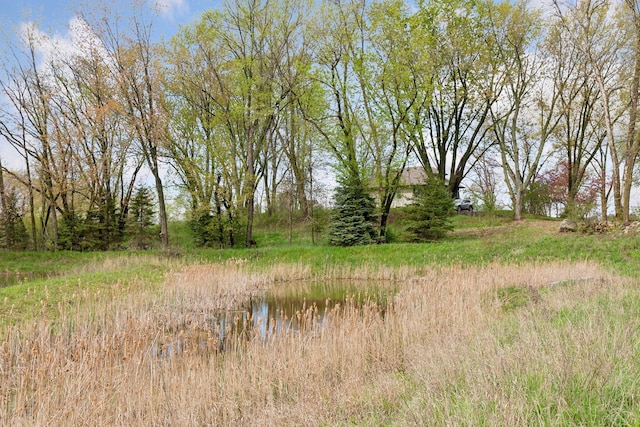 view of local wilderness with a water view