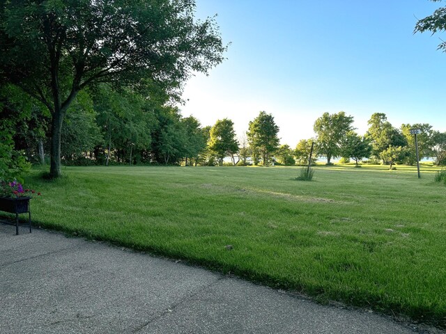 view of property's community with a yard