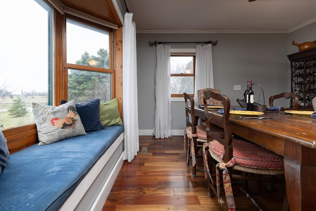 interior space featuring dark hardwood / wood-style floors and crown molding