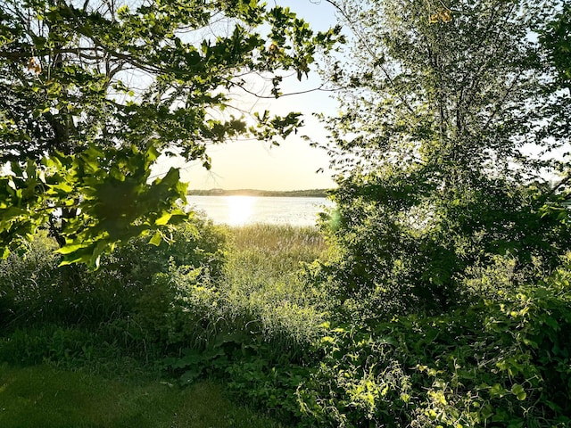 property view of water