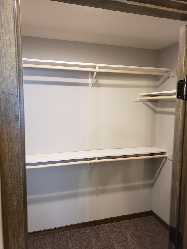 spacious closet featuring carpet flooring