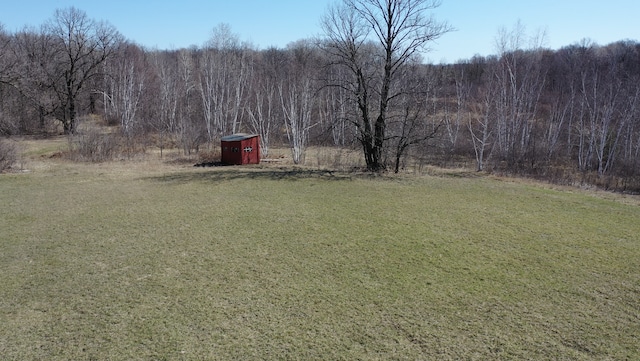 view of yard with a storage shed