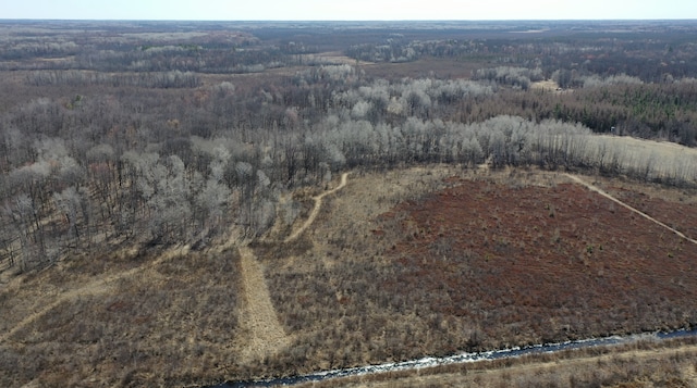 view of drone / aerial view