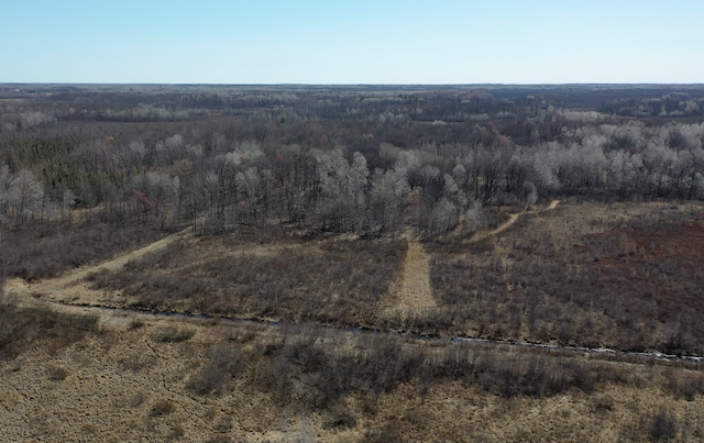 view of drone / aerial view