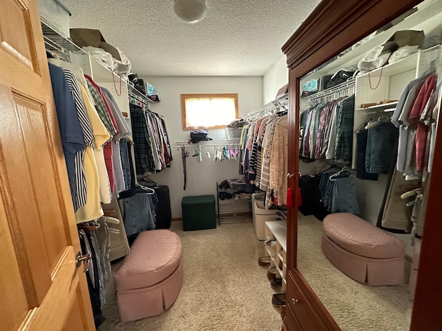 walk in closet featuring light carpet