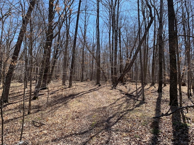 view of local wilderness