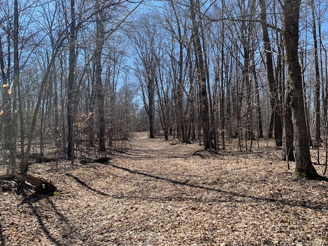 view of local wilderness