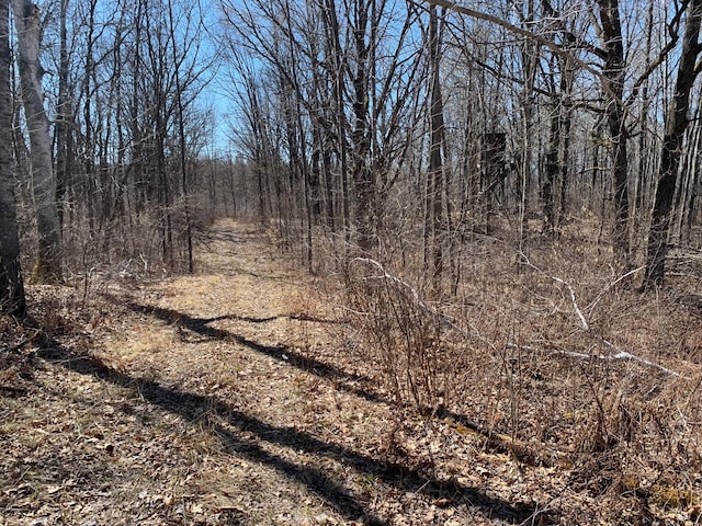 view of local wilderness