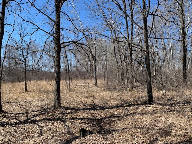 view of local wilderness