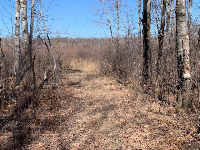 view of nature