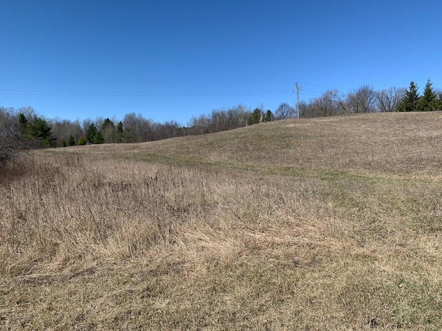 view of local wilderness featuring a rural view