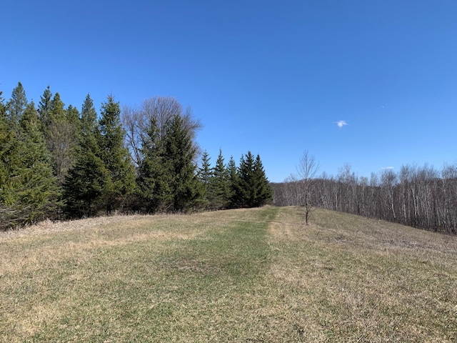 view of yard featuring a rural view