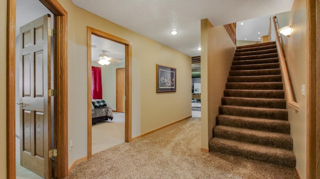 stairway featuring carpet flooring