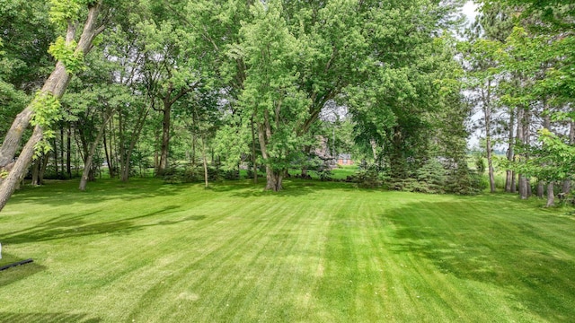 W9495 Springwood Ln, Withee Twp, WI 54771 - view of grassy yard