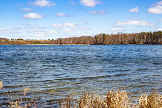 water view featuring a view of trees