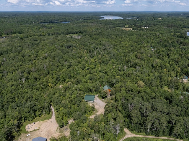 6940 Spurge Ln NE, Remer, MN 56672 - photo 17