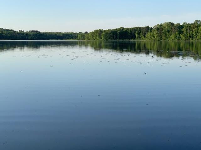 6940 Spurge Ln NE, Remer, MN 56672 - photo 50