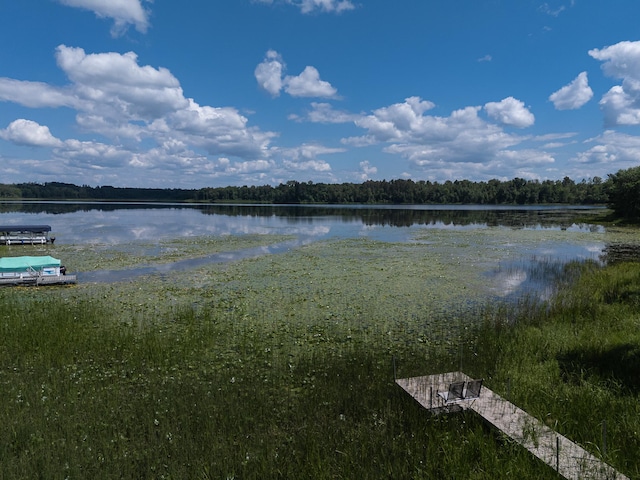 6940 Spurge Ln NE, Remer, MN 56672 - photo 16