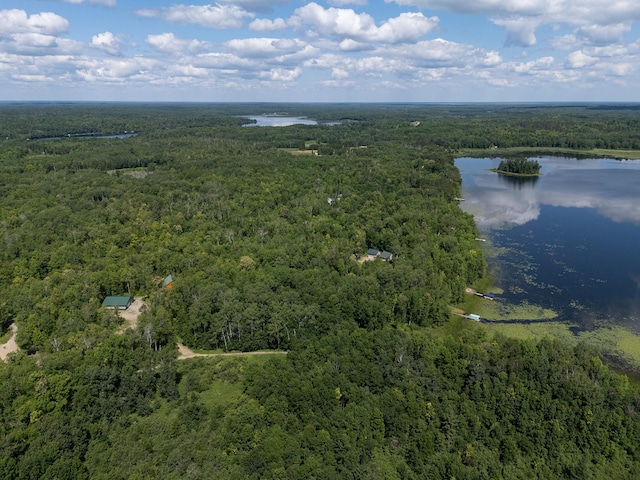 6940 Spurge Ln NE, Remer, MN 56672 - photo 18