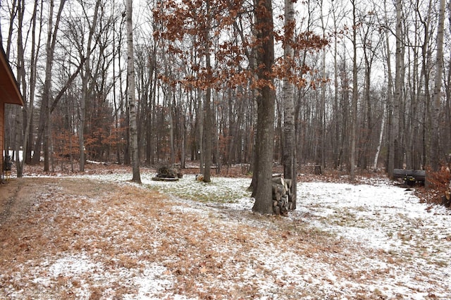 view of yard covered in snow