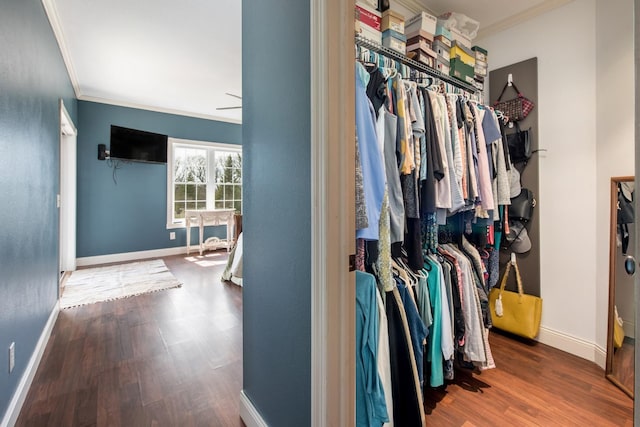 walk in closet featuring dark hardwood / wood-style floors