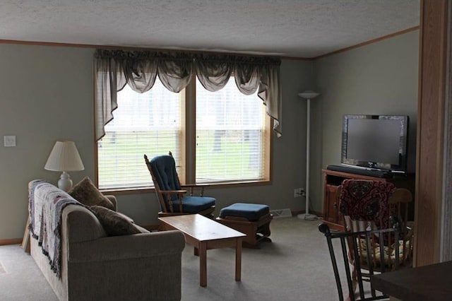 carpeted living room with crown molding, a textured ceiling, and a healthy amount of sunlight