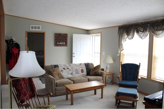 living room with crown molding, vaulted ceiling, carpet, and a textured ceiling