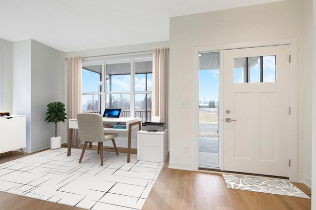 foyer entrance featuring a wealth of natural light and light wood-type flooring