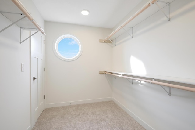 spacious closet featuring carpet floors