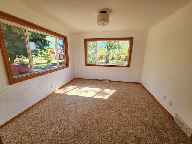 unfurnished room with carpet flooring and a wealth of natural light