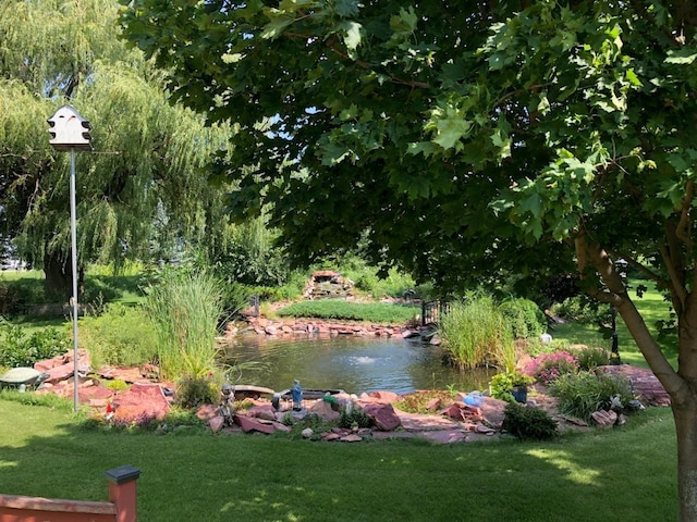 view of home's community with a water view and a yard