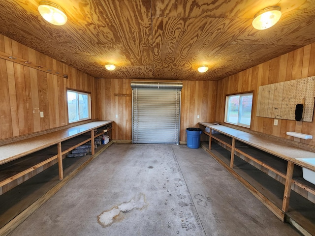 garage with wooden ceiling and wooden walls