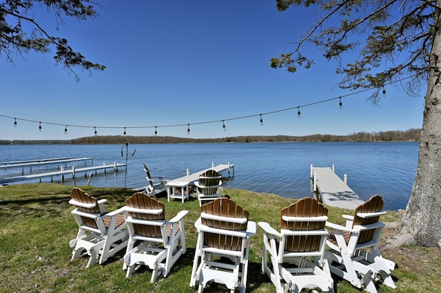 dock area with a water view