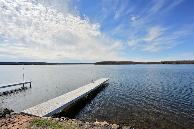 dock area with a water view