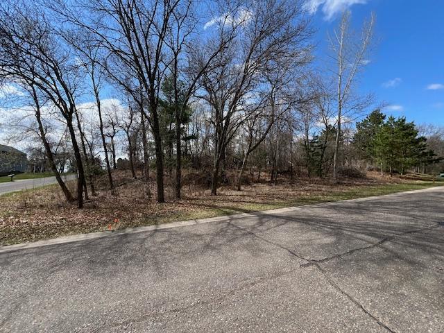 3115 Laurel St S, Cambridge, MN 55008 - photo 4