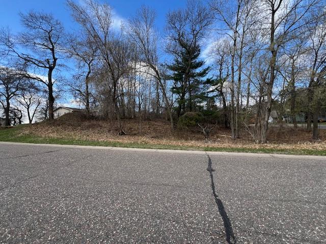 3115 Laurel St S, Cambridge, MN 55008 - photo 5