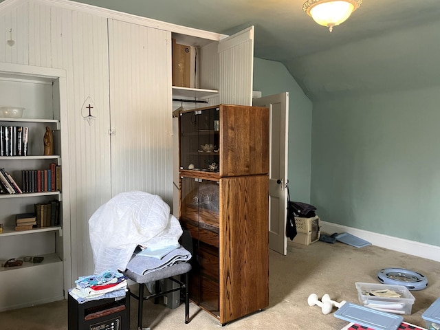 miscellaneous room featuring carpet and lofted ceiling