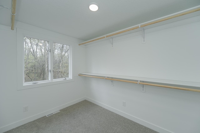 walk in closet featuring carpet