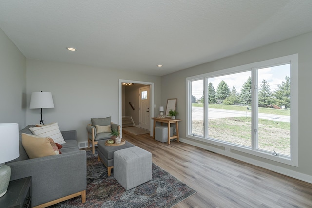 living room with hardwood / wood-style flooring