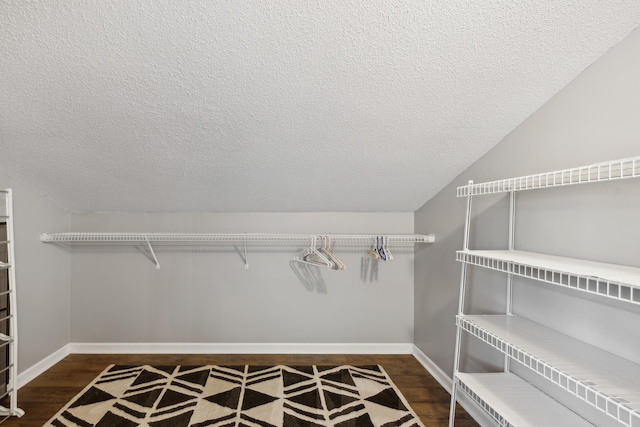 spacious closet with dark wood-type flooring