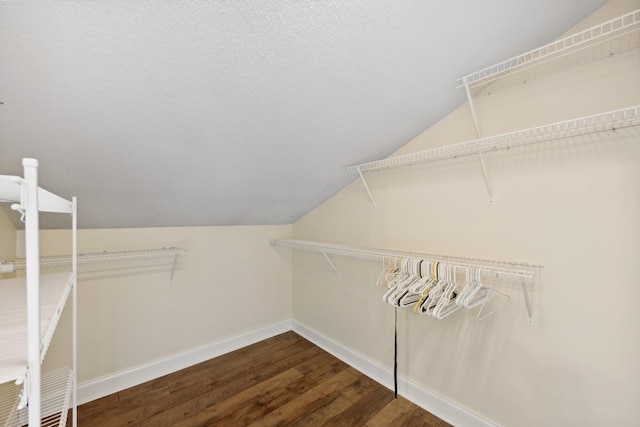 spacious closet with wood-type flooring and vaulted ceiling