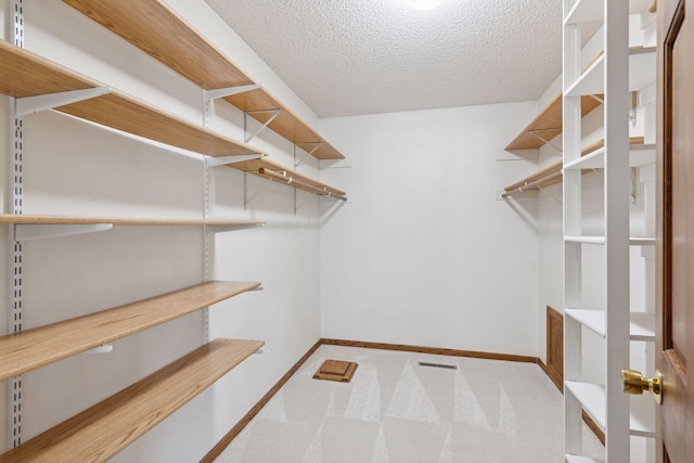walk in closet featuring carpet floors