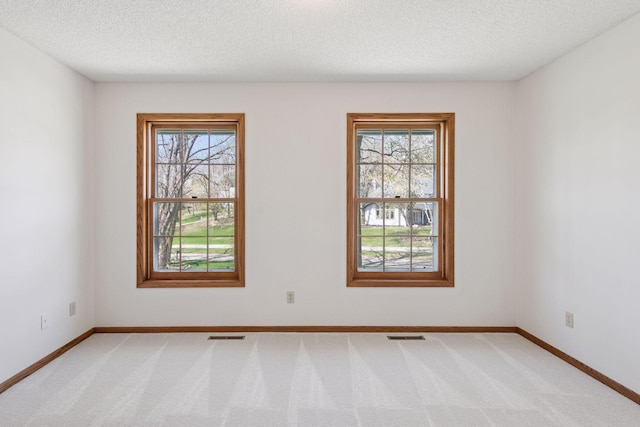 spare room with a textured ceiling, a healthy amount of sunlight, and light carpet