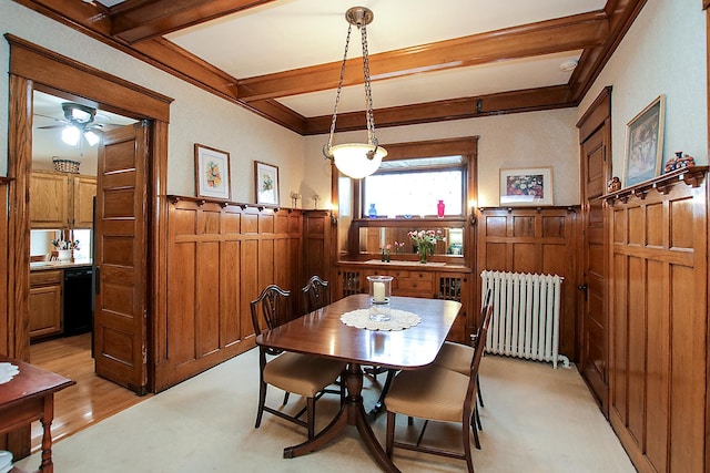 dining area with light hardwood / wood-style flooring, beamed ceiling, radiator, and ceiling fan