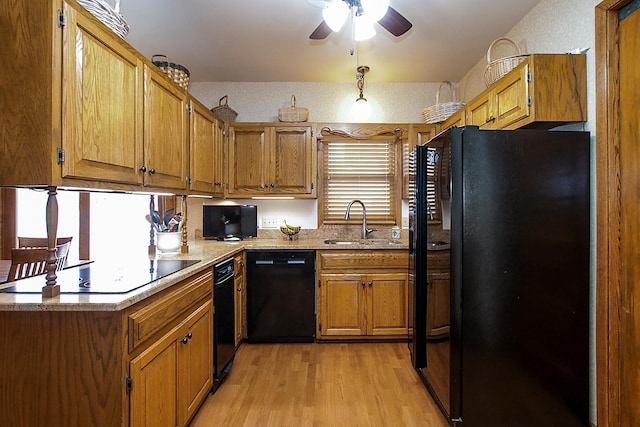 kitchen with plenty of natural light, black appliances, sink, and light wood-type flooring