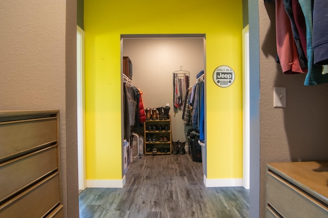 walk in closet with hardwood / wood-style floors