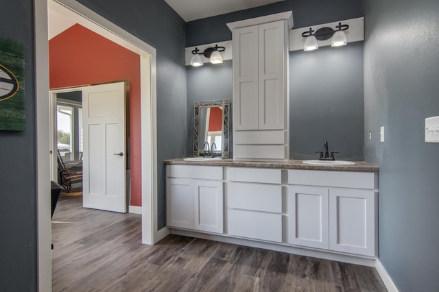 bathroom featuring vanity with extensive cabinet space, hardwood / wood-style flooring, and double sink