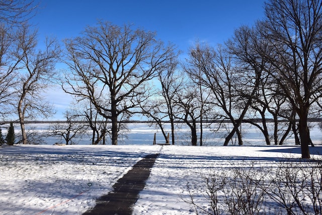 view of yard layered in snow