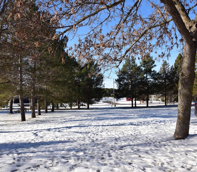 view of surrounding community