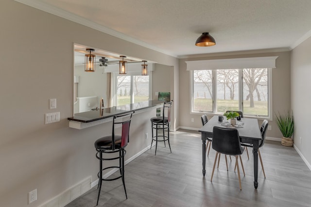 dining space with ornamental molding, light hardwood / wood-style flooring, and a textured ceiling